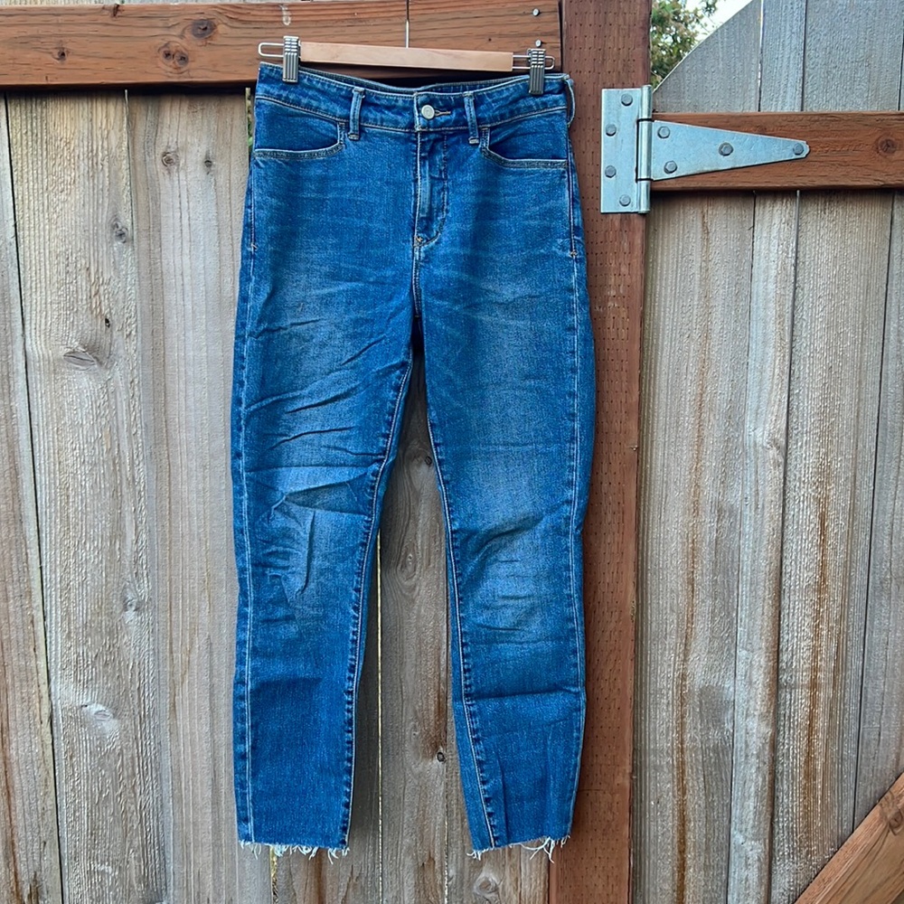 Pilcro and the Letterpress Highrise Skinny Jeans
